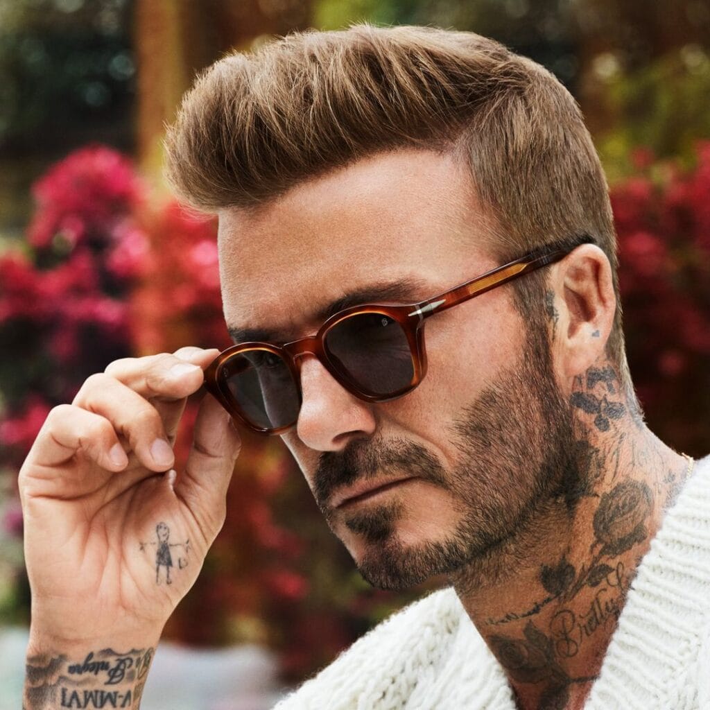David Beckham Tortoise